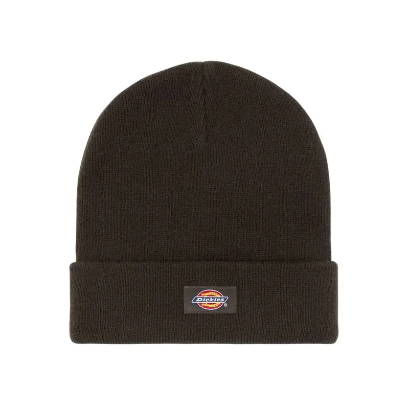 Dickies Cappelli DK0A4X7K0DB1 Marrone